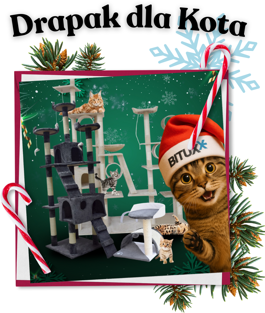 Sezon na „Koty w domu” rusza jesienią. Czy Twój sklep jest gotowy na Q4?